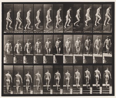 Ascending Stairs by Eadweard Muybridge