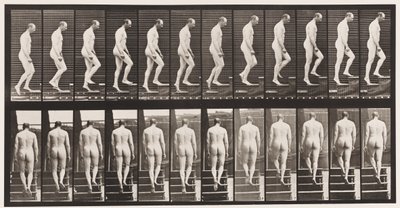 Plate 89. Ascending Stairs by Eadweard Muybridge