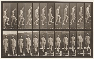 Plate 92. Ascending Stairs by Eadweard Muybridge