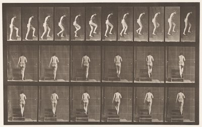 Plate 93. Ascending Stairs by Eadweard Muybridge