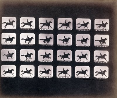 Running (Galloping) by Eadweard J. Muybridge by Eadweard Muybridge