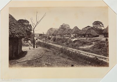 Suburbs of Panama by Eadweard Muybridge