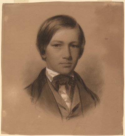 Portrait of a Young Man by Eastman Johnson