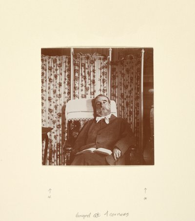 Portrait of Ludovic Halévy by Edgar Degas