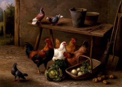 Chickens, Pigeons and Doves by Edgar Hunt