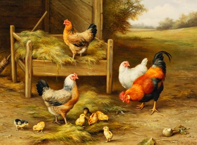Chickens and Chicks Feeding by Edgar Hunt