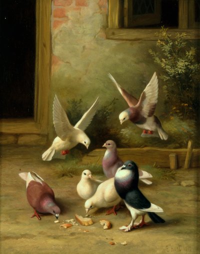 Doves feeding by Edgar Hunt