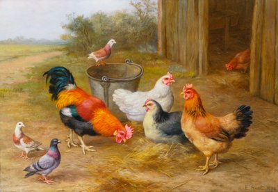 Pigeons and Chickens by Edgar Hunt