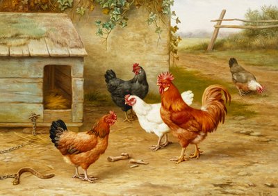 Poultry by Kennel by Edgar Hunt