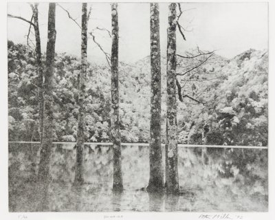 Sai-no-Ko, 1992 by Edouard Cremieux