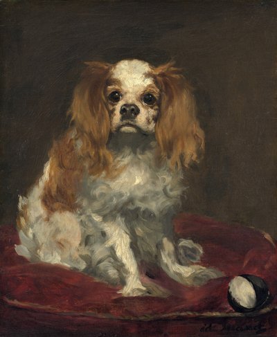 A King Charles Spaniel by Édouard Manet