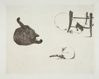 Cats, 1868-69 by Édouard Manet