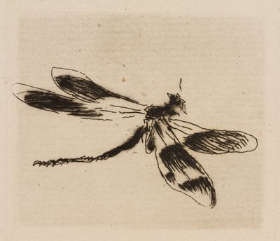 Dragonfly, plate 1 from Le Fleuve by Édouard Manet