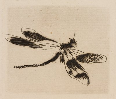 Dragonfly, plate 1 from The River by Édouard Manet