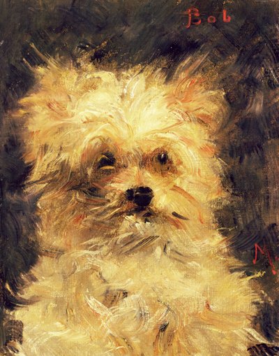 Head of a Dog - Bob by Édouard Manet
