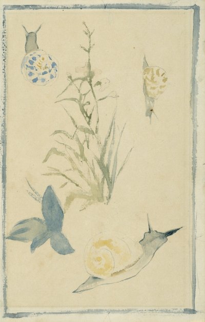 Sketches of Snails, Flowering Plant by Édouard Manet