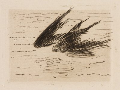 Swallows, plate 8 from The River by Édouard Manet