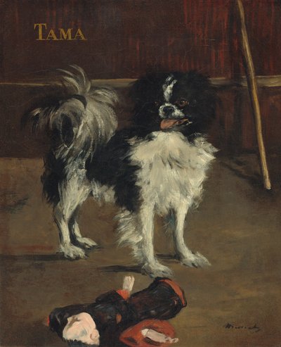 Tama, the Japanese Dog by Édouard Manet