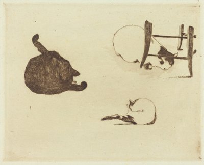 The Cats by Édouard Manet