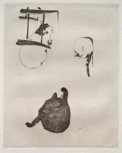 The Cats by Édouard Manet