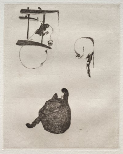 The Cats by Édouard Manet