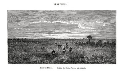 Los Llanos, Venezuela by Edouard Riou