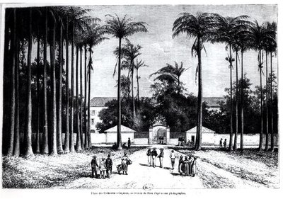 Place des Palmistes, Cayenne, Guyana by Edouard Riou