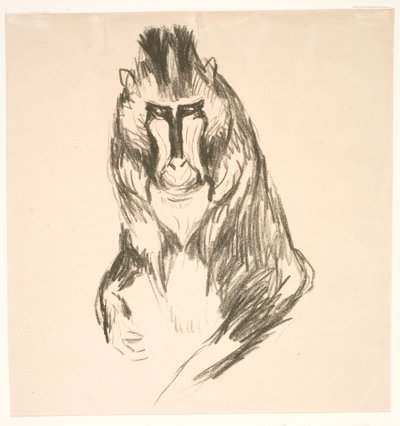 Gorilla (Mandrill) by Edvard Munch