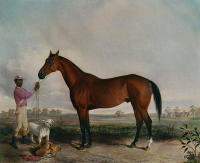 Enquirer, Bay Horse by Edward (after) Troye