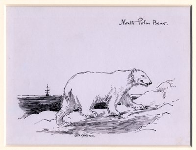 Polar bear, c.1905 by Edward Adrian Wilson