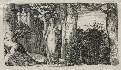 The Lady and the Rooks, 1829 by Edward Calvert