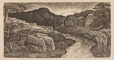 The Sheep of His Pasture by Edward Calvert