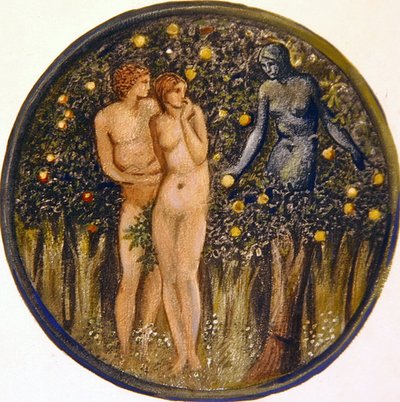 The Flower Book: VIII. Adder