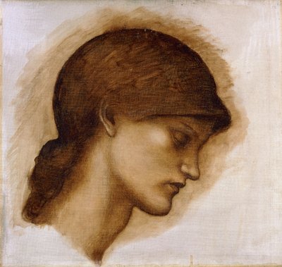 Study of a Lady