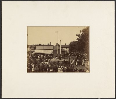 Elephants Walk Through Town, Maple City by Edward H. Hart
