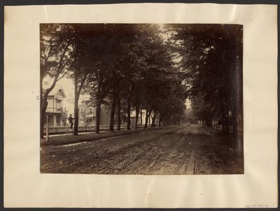 Tree Lined Street by Edward H. Hart