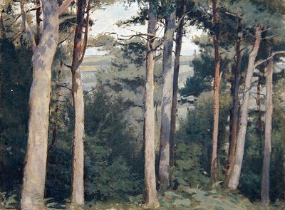 Lambert Castle by Edward Ingram Taylor