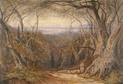 Corfu by Edward Lear