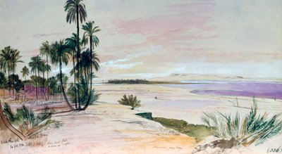 Wadi Halfeh, February 3, 1867 by Edward Lear