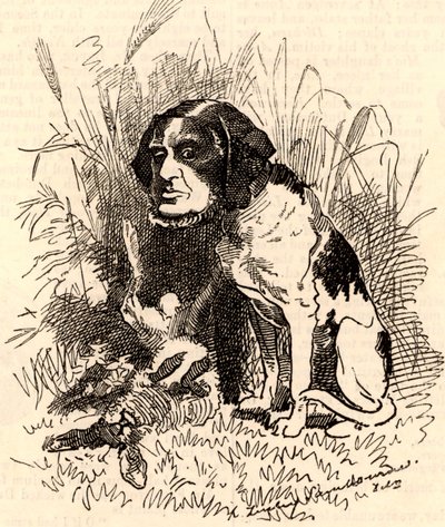 William GGV Vernon Harcourt (1827-1904) by Edward Linley Sambourne