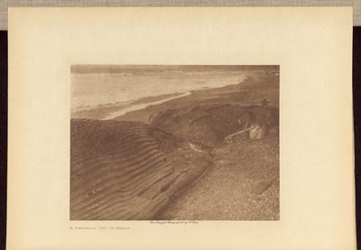 A Partially Cut Up Whale by Edward S. Curtis