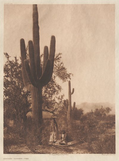 Portfolio II, Plates 40-75 by Edward S. Curtis