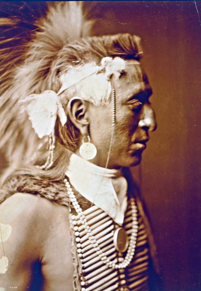 Antelope Cap by Edward Sheriff Curtis