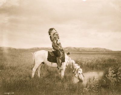 Oasis in the Badlands 1905 by Edward Sheriff Curtis