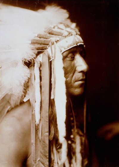 Pretty Paint by Edward Sheriff Curtis