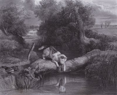 The Dog and the Shadow by Edwin (after) Landseer