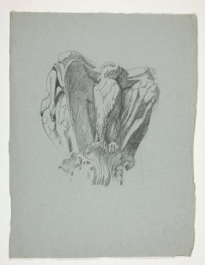 Sketch of a Capital by Edwin Austin Abbey