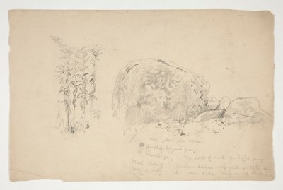 Sketches of Rocks, Weeds by Edwin Austin Abbey