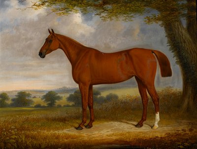 Chestnut Hunter in a Landscape, 1867 by Edwin Brown