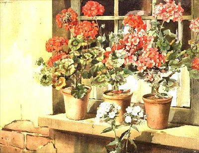 Geraniums by Edwin Byatt
